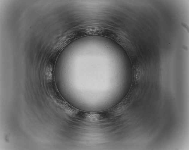 X0000101160226200807071206