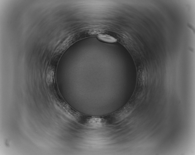 X0000101160227200807071206