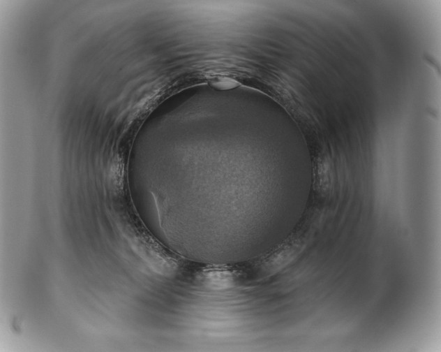 X0000101160228200807071206