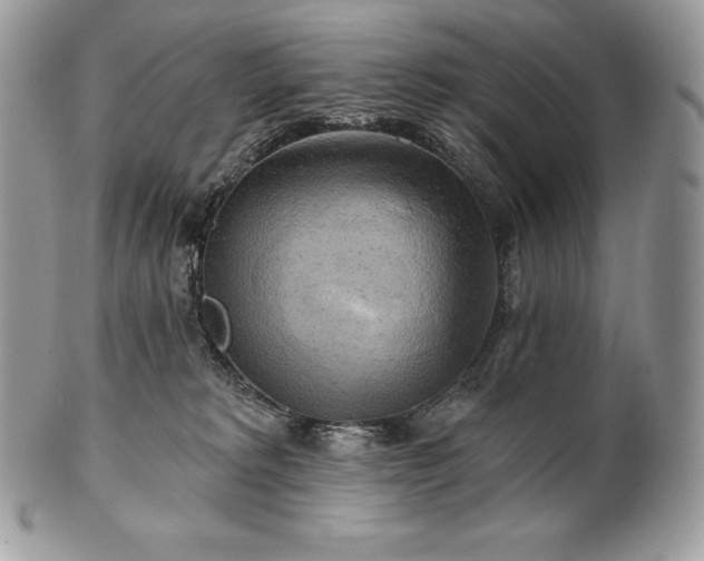 X0000101160229200807071206