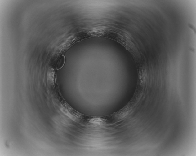 X0000101160231200807071206