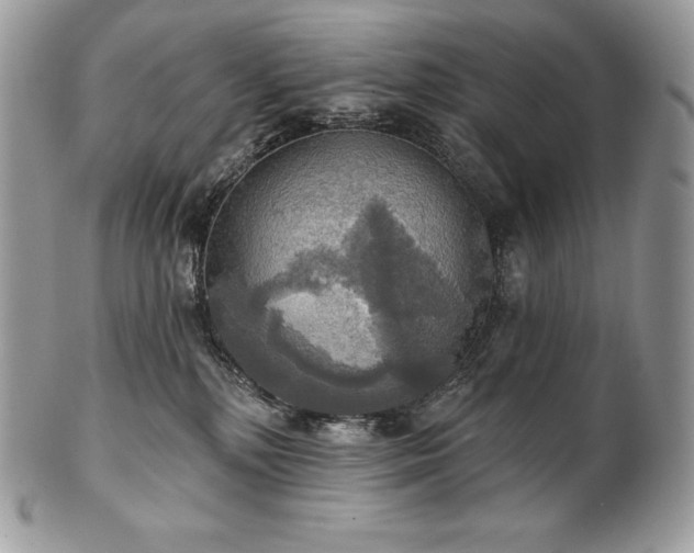 X0000101160232200807071205