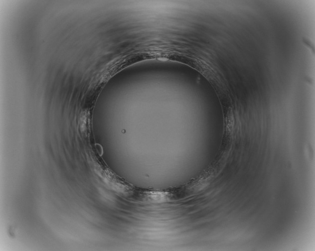 X0000101160233200807071205