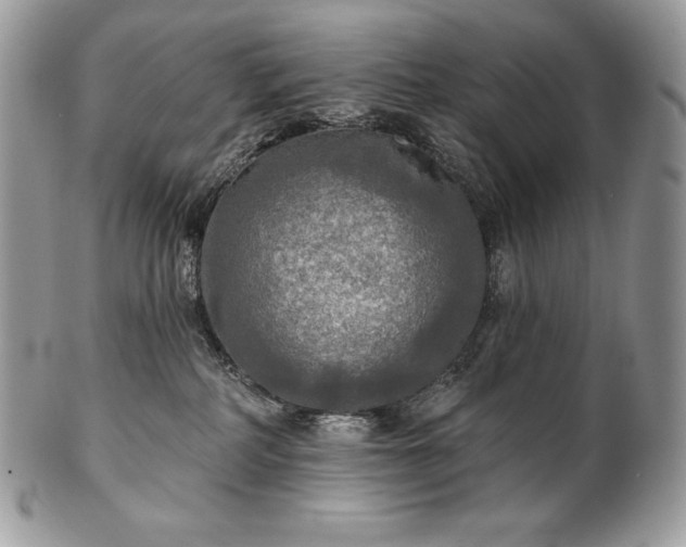 X0000101160234200807071205