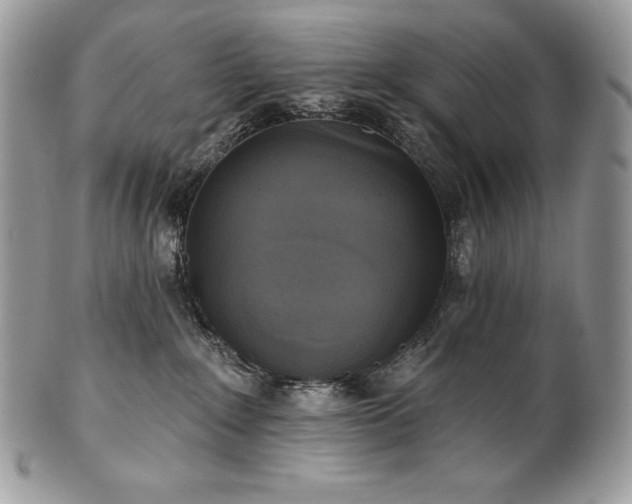 X0000101160235200807071205