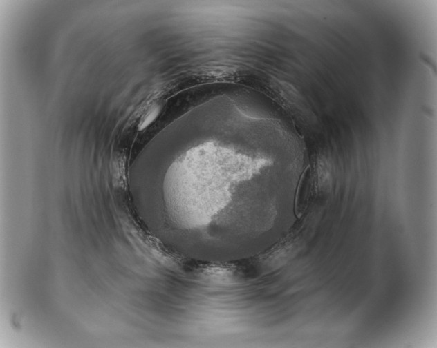 X0000101160236200807071205