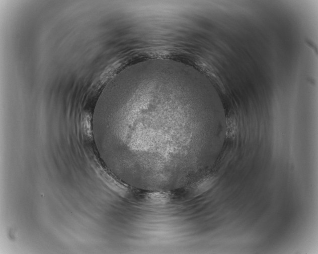 X0000101160238200807071205