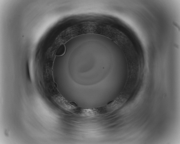 X0000101160239200807071205