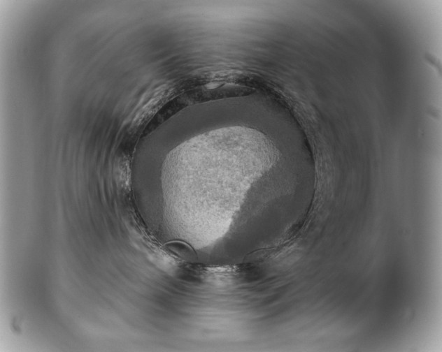 X0000101160240200807071205