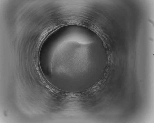 X0000101160241200807071205