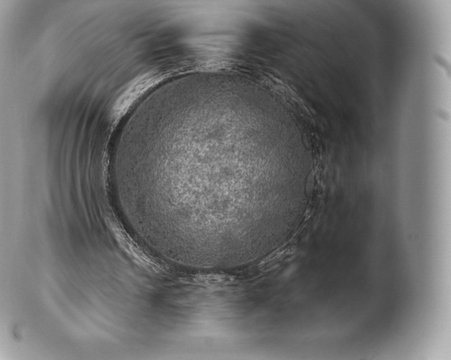 X0000101160242200807071205