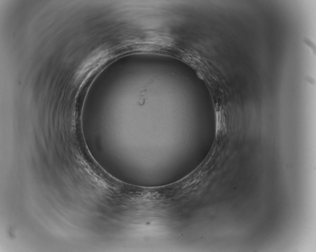 X0000101160243200807071205