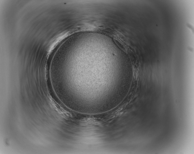 X0000101160244200807071205