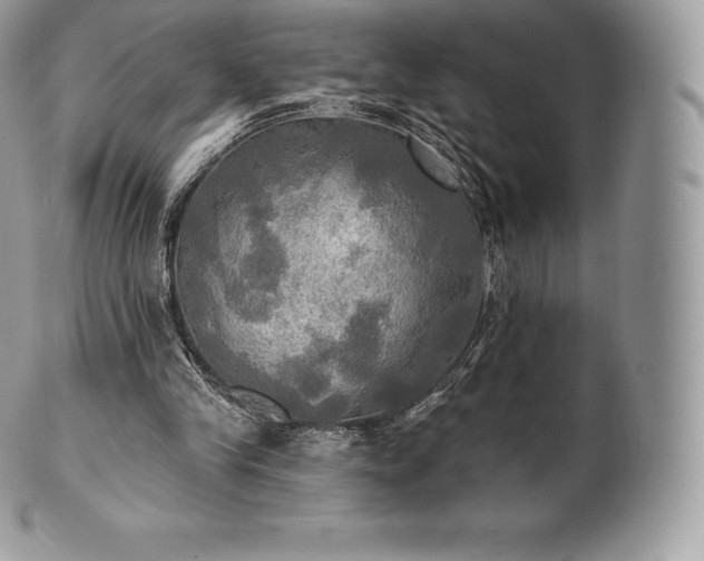 X0000101160245200807071205