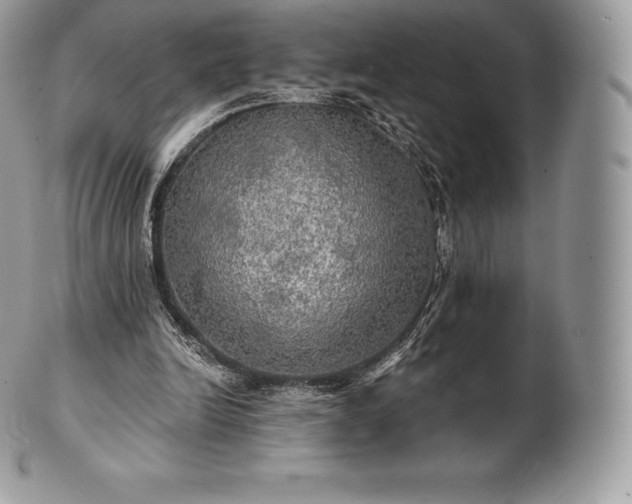 X0000101160246200807071205