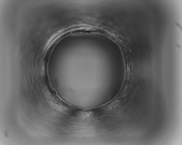 X0000101160247200807071205