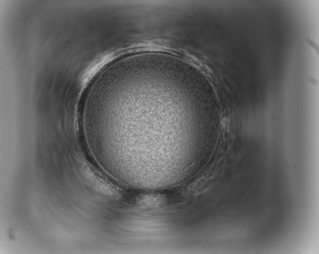 X0000101160248200807071205