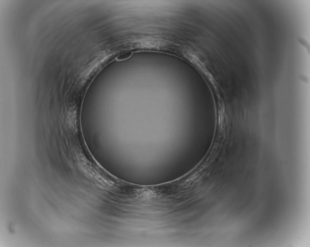 X0000101160249200807071205