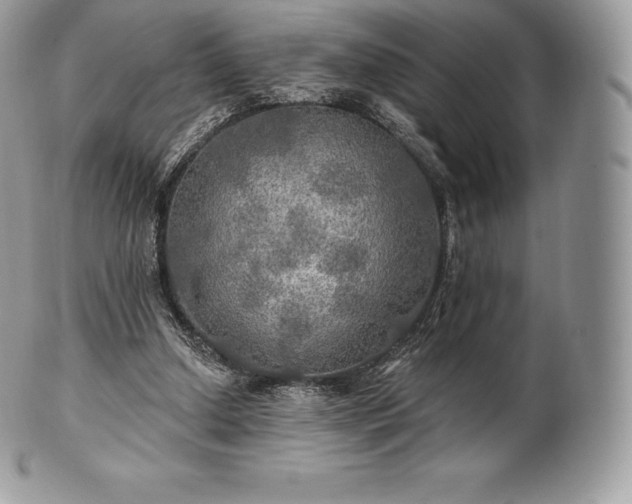 X0000101160250200807071205