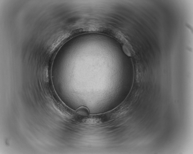 X0000101160251200807071205