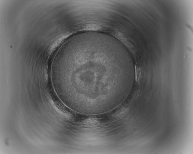 X0000101160252200807071205