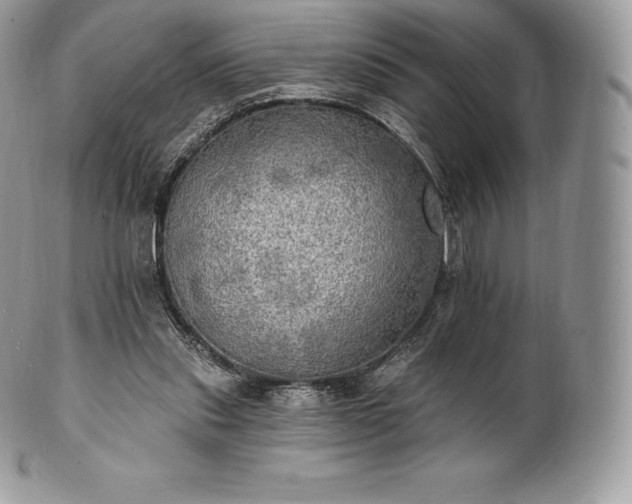 X0000101160253200807071205