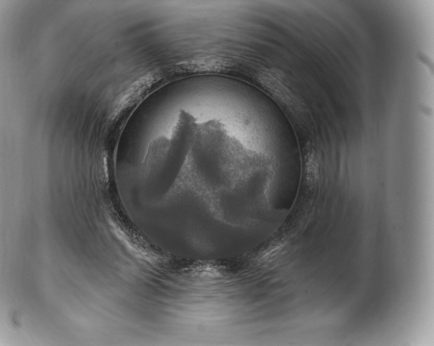 X0000101160254200807071205