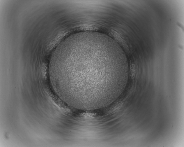 X0000101160255200807071205