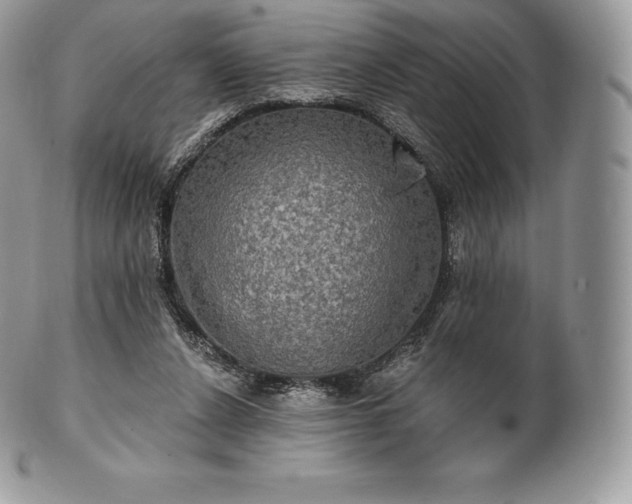 X0000101160256200807071205