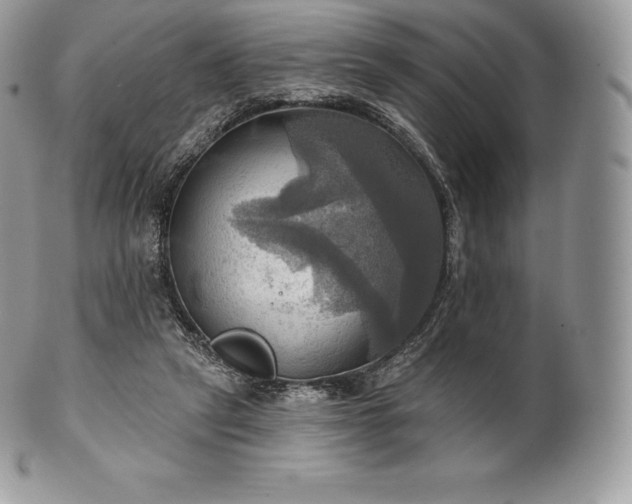 X0000101160257200807071205