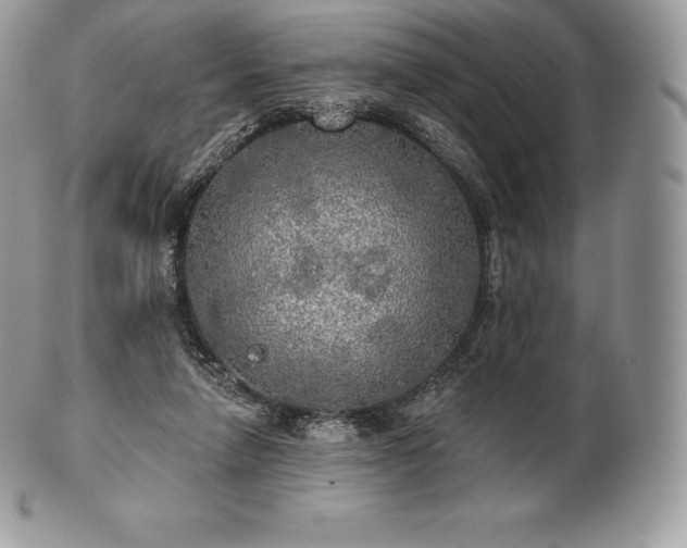 X0000101160258200807071205