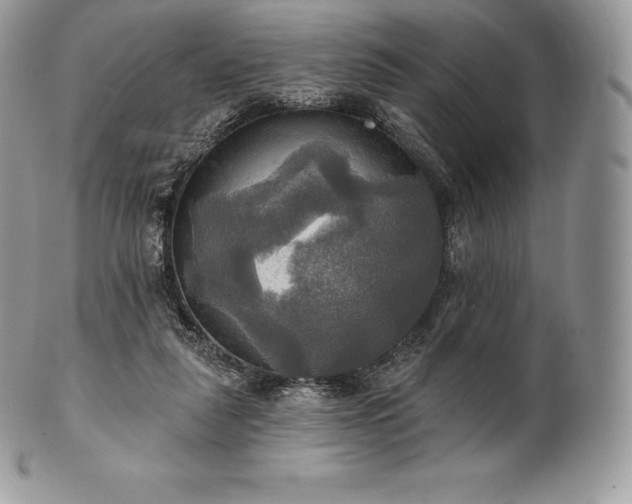 X0000101160259200807071205