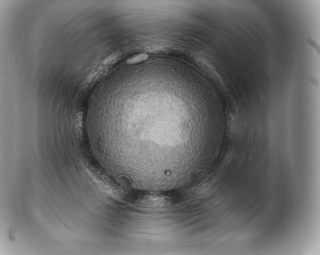 X0000101160260200807071205