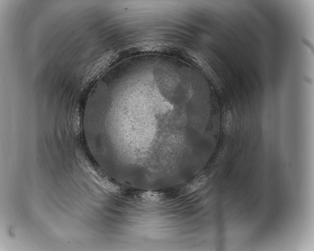 X0000101160261200807071205