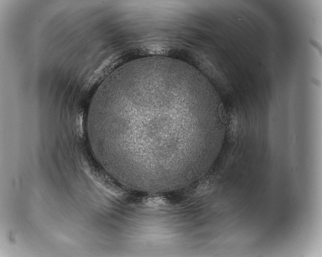 X0000101160262200807071205