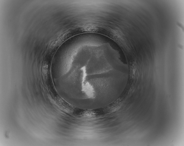 X0000101160263200807071205