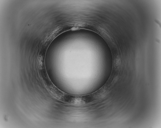 X0000101160264200807071205