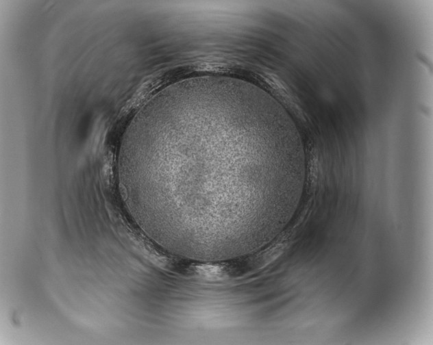 X0000101160265200807071205