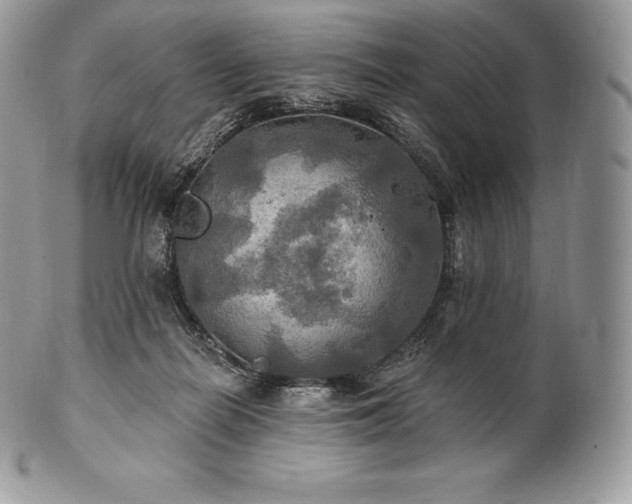 X0000101160266200807071205