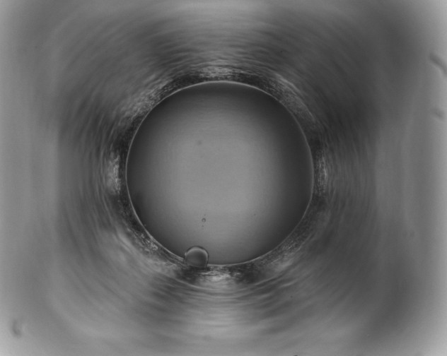 X0000101160267200807071205