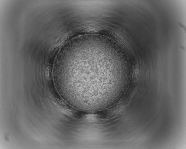 X0000101160268200807071205