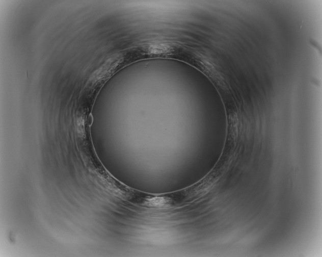 X0000101160269200807071205