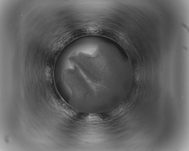 X0000101160270200807071205