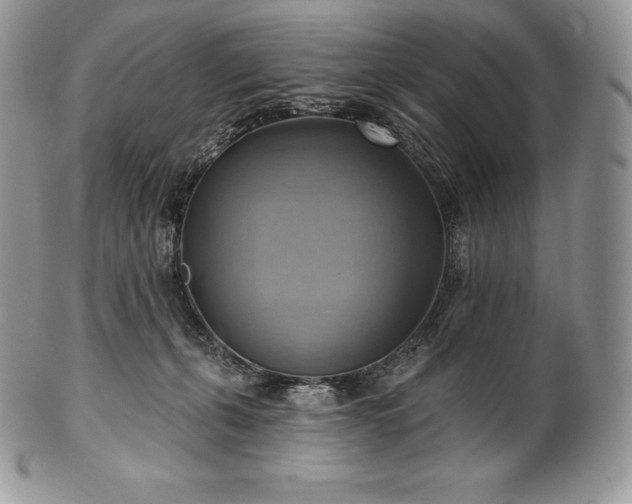 X0000101160271200807071205