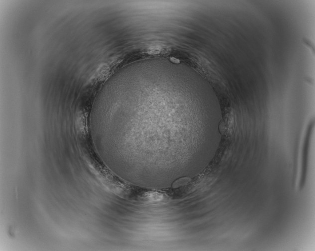 X0000101160272200807071205