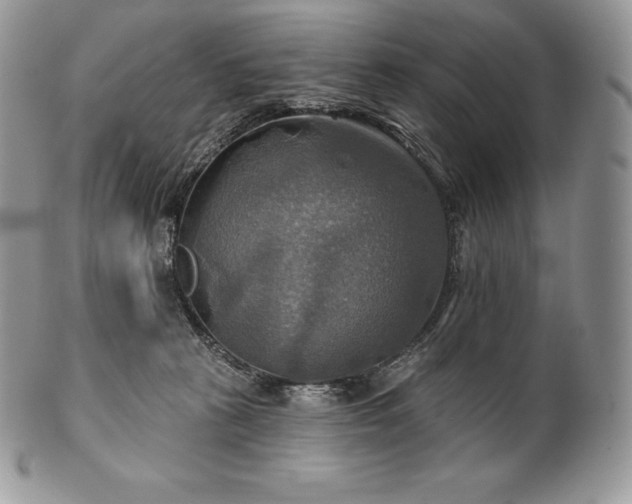 X0000101160273200807071205