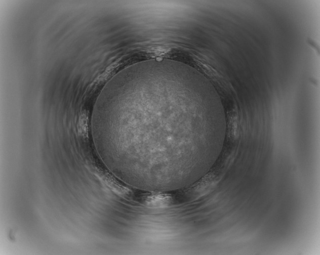 X0000101160274200807071205