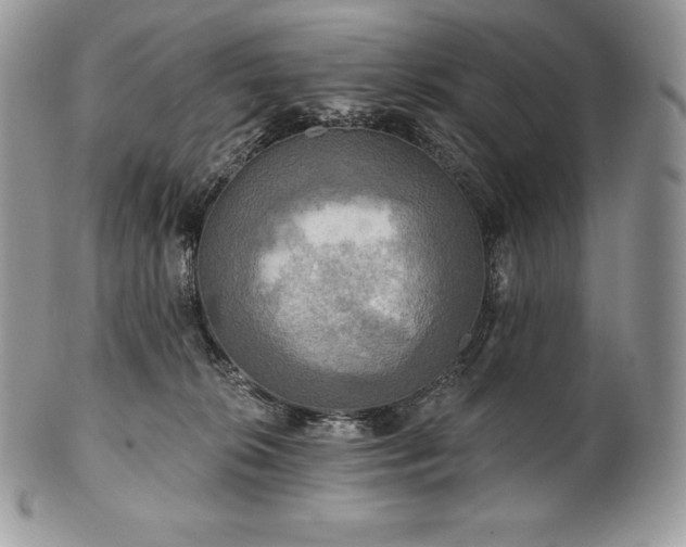 X0000101160276200807071205