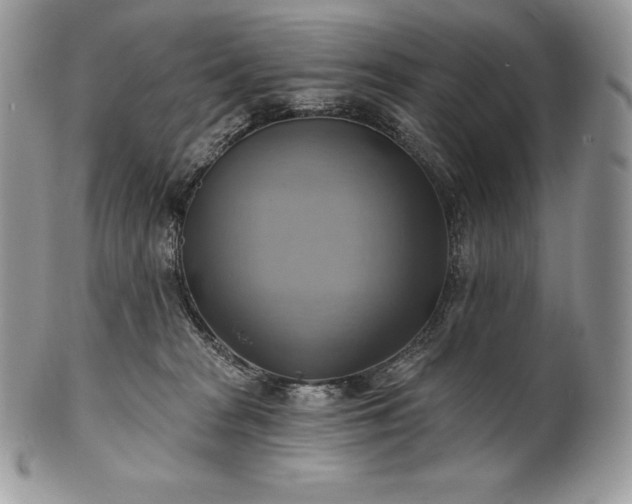 X0000101160277200807071205