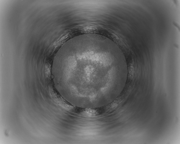 X0000101160278200807071205